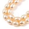 Natural Cultured Freshwater Pearl Beads Strands PEAR-I007-01A-03B-4