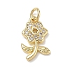 Brass with Rhinestone Pendants KK-CBAD872-01G-06-1