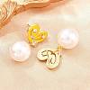 Valentine's Day Brass Clear Cubic Zirconia Dangle Stud Earrings EJEW-Z164-07G-04-2