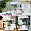 4 Sets Clear Plastic Packing Boxes with Paper Top and Bottom CON-GO0001-28A-5