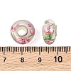 Lampwork & Brass Core European Beads LAMP-P019-01P-26-3
