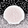 Glass Seed Beads SEED-T007-10D-4