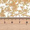 MIYUKI Round Rocailles Beads LS-X-SEED-G009-RR4202-4