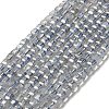 Natural Labradorite Beads Strands X-G-D470-07-1