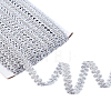 Polyester Braided Lace Trim OCOR-WH0082-560A-1