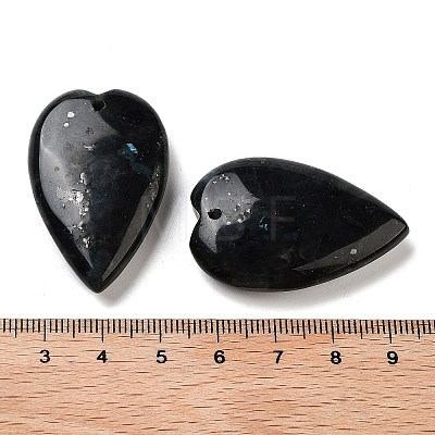 Natural Larvikite Pendants G-D087-02G-1