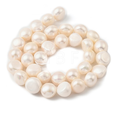 Natural Cultured Freshwater Pearl Beads Strands PEAR-P064-19L-02B-1