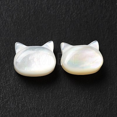 Natural White Shell Beads SHEL-G014-10B-02-1