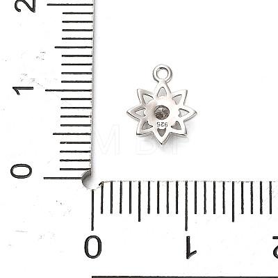 925 Sterling Silver Clear Cubic Zirconia Star Charms STER-U009-06P-1