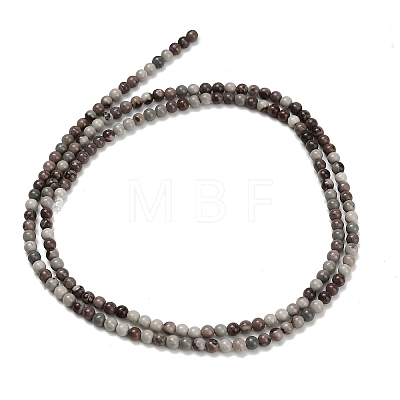 Natural Red Dendritic Jasper Beads Strands G-Z116-A27-2mm-1