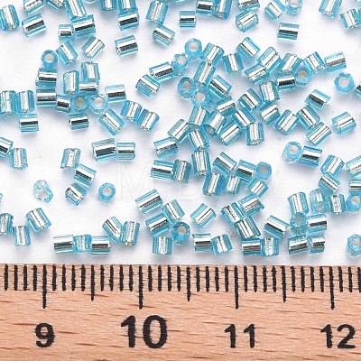 Glass Bugle Beads SEED-S032-08A-23-1