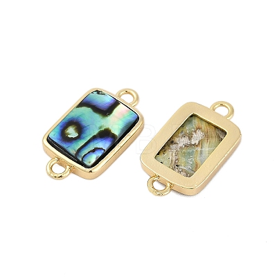 Brass Pave Natural Paua Shell Connector Charms KK-M299-01B-G-1