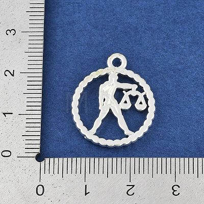 Twelve Constellations Alloy Pendants PALLOY-Q006-01K-S-1