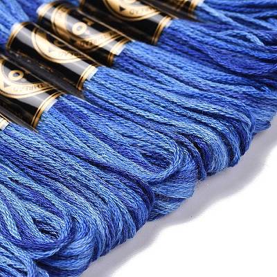 10 Skeins 6-Ply Polyester Embroidery Floss OCOR-K006-A21-1