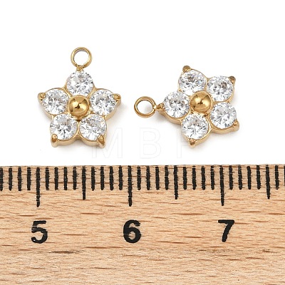 304 Stainless Steel Micro Pave Cubic Zirconia Charms STAS-B088-01G-02-1