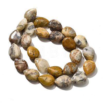 Natural Crazy Agate Beads Strands G-P561-B11-01-1