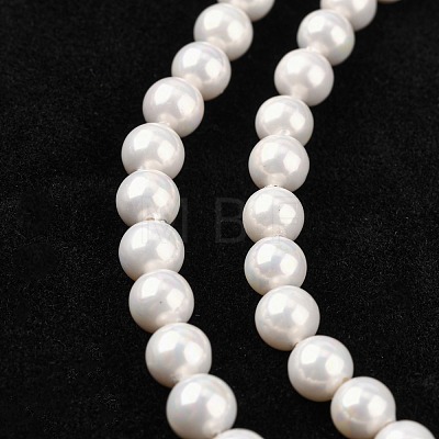 Shell Bead Strands BSHE-R146-6mm-02-1