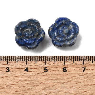 Natural Lapis Lazuli Carved Beads G-L636-C03-01-1