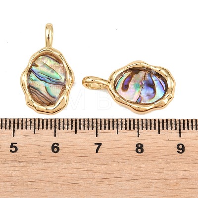 Brass Natural Paua Shell Irregular Pendants KK-I453-01G-02-1