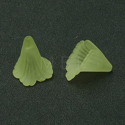 Transparent Acrylic Bead Caps LS-X-PL551-C18-1