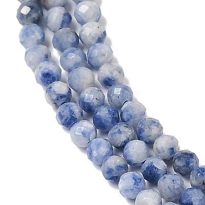 Natural Blue Spot Jasper Beads Strands G-A252-A02-02-1