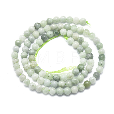 Natural Myanmar Jade/Burmese Jade Beads Strands G-D0001-08-4mm-1