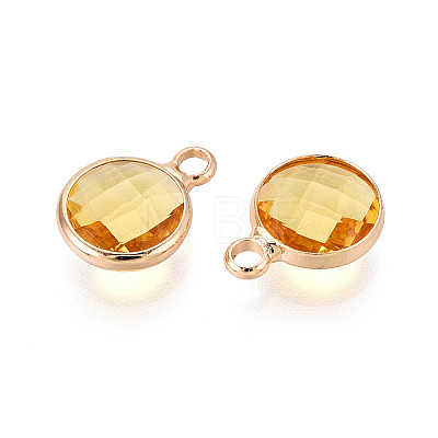 Golden Tone Brass Glass Charms GLAA-ZX008-24F-G-1