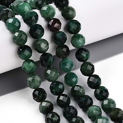 Natural Fuchsite Beads Strands G-T140-20B-1