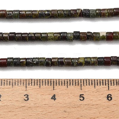 Natural Dragon Blood Beads Strands G-P608-A11-01-1