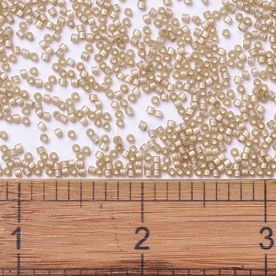 MIYUKI Delica Beads SEED-J020-DB2177-1