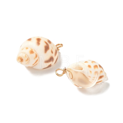 Natural Spiral Shell Pendants PALLOY-JF02949-1