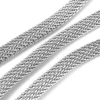 304 Stainless Steel Mesh Chains/Network Chains STAS-P245-51A-P-1