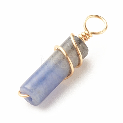 Natural Sodalite Pendants PALLOY-JF01453-03-1