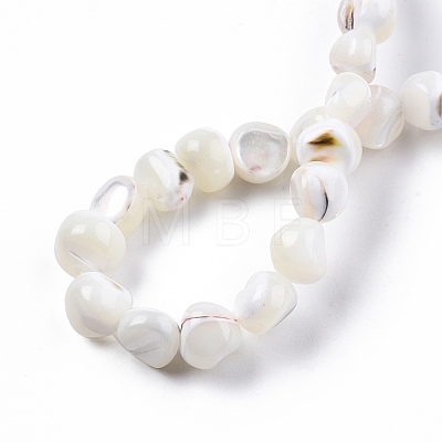 Natural Trochid Shell/Trochus Shell Beads Strands SSHEL-N032-48-B01-1