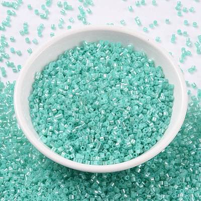 Cylinder Seed Beads SEED-H001-E05-1