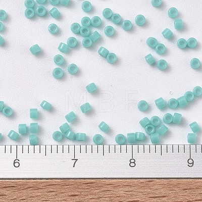 MIYUKI Delica Beads SEED-MY11-DB1136-1