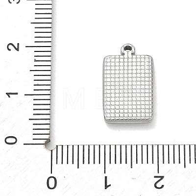 304 Stainless Steel Micro Pave Clear Cubic Zirconia Pendants SA-CBA50C9-03P-1