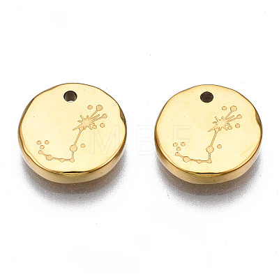 316 Surgical Stainless Steel Charms STAS-S116-418J-G-1