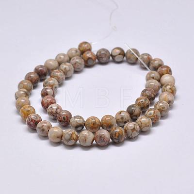 Natural Maifanite/Maifan Stone Beads Strands G-F353-10mm-1