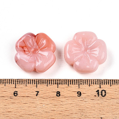 Transparent Acrylic Beads TACR-T028-40B-1