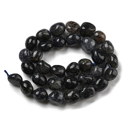 Natural Iolite Beads Strands G-C038-02A-02-1