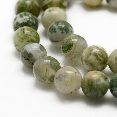 Natural Tree Agate Beads Strands X-G-K194-8mm-02-1