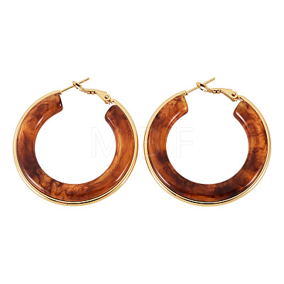 1 Pair 304 Stainless Steel Hoop Earrings EJEW-TA0001-89E-1