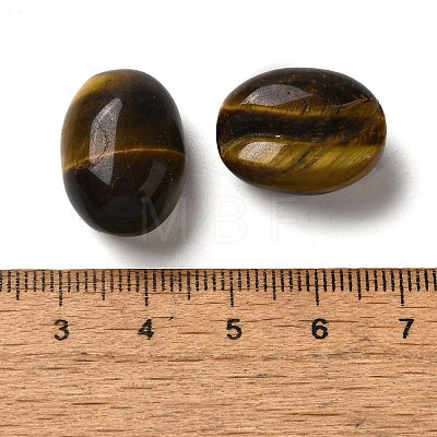 Natural Tiger Eye Beads G-N343-06-1