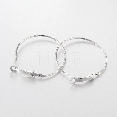 Iron Hoop Earrings X-E220-1
