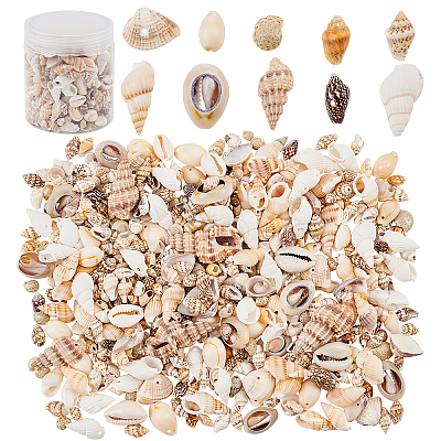 Natural Sea Shell Beads Kits SSHEL-PH0002-51-1