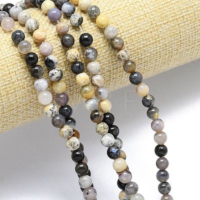 Natural Dendritic Opal Beads Strands G-R494-A23-02A-1