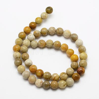 Natural Fossil Coral Beads Strands G-K194-4mm-05-1