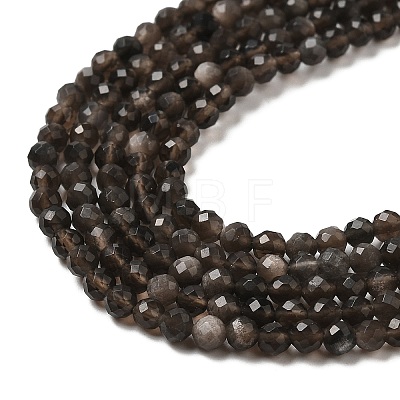 Natural Silver Sheen Obsidian Beads Strands G-E608-A02-B-1