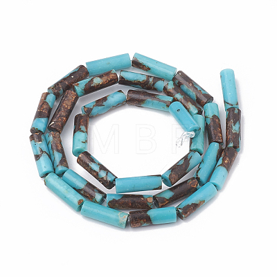 Assembled Bronzite and Synthetic Turquoise Beads Strands G-S322-004-1